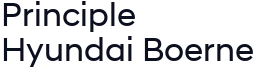 Principle Hyundai Boerne