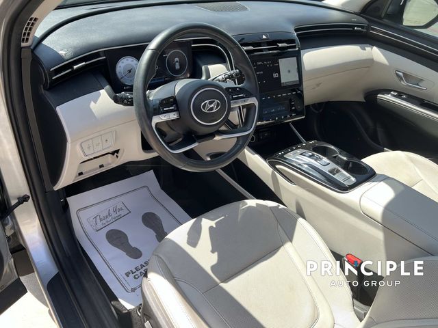 Photo 14