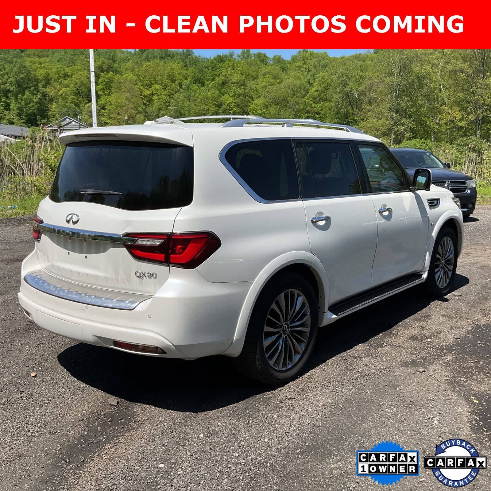 2019 INFINITI QX80 Luxe 5
