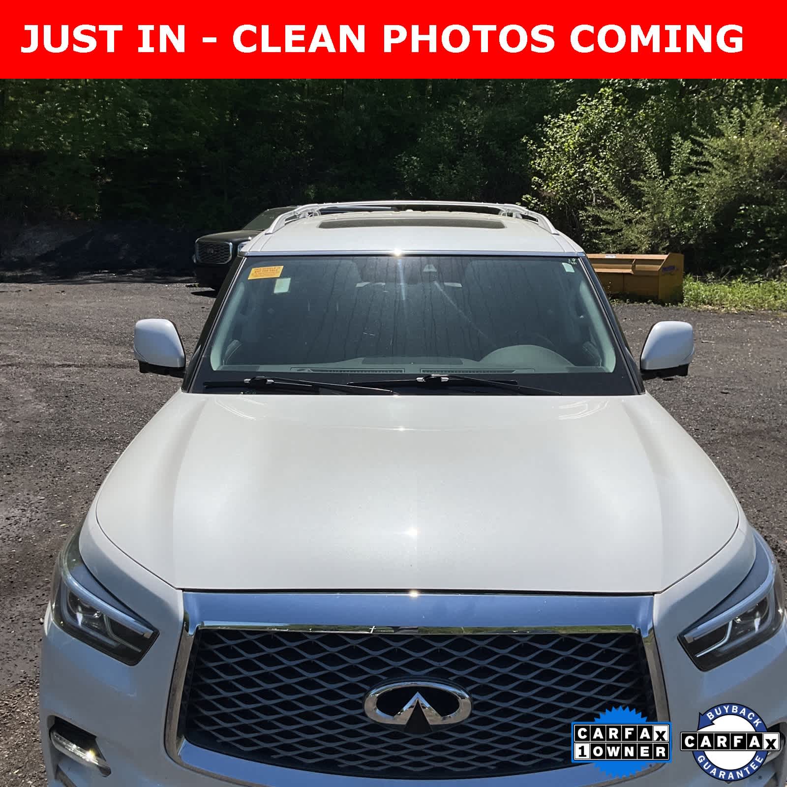 2019 INFINITI QX80 Luxe 9