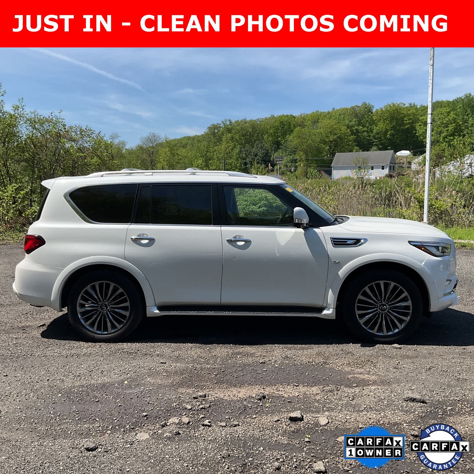 2019 INFINITI QX80 Luxe 6