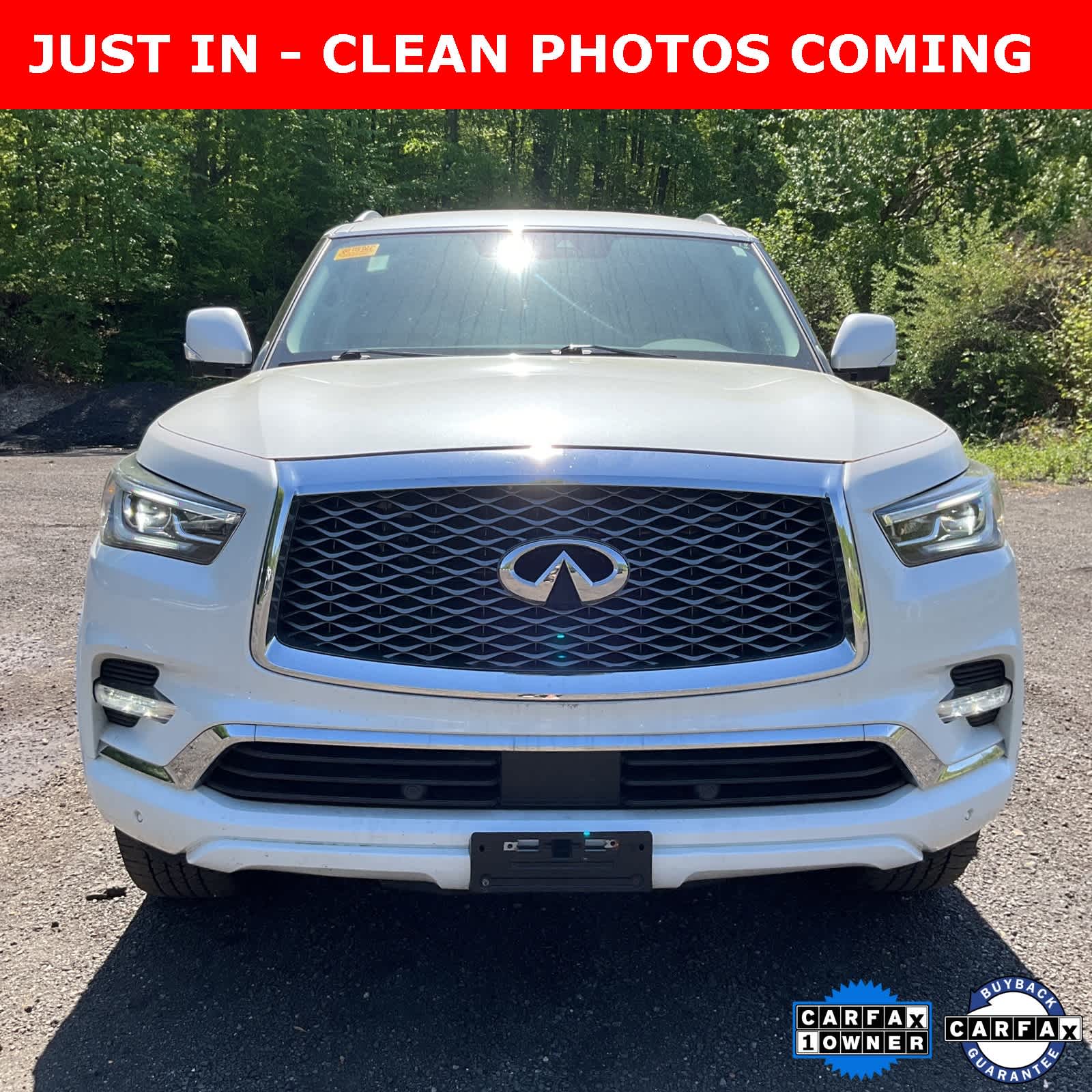 2019 INFINITI QX80 Luxe 8