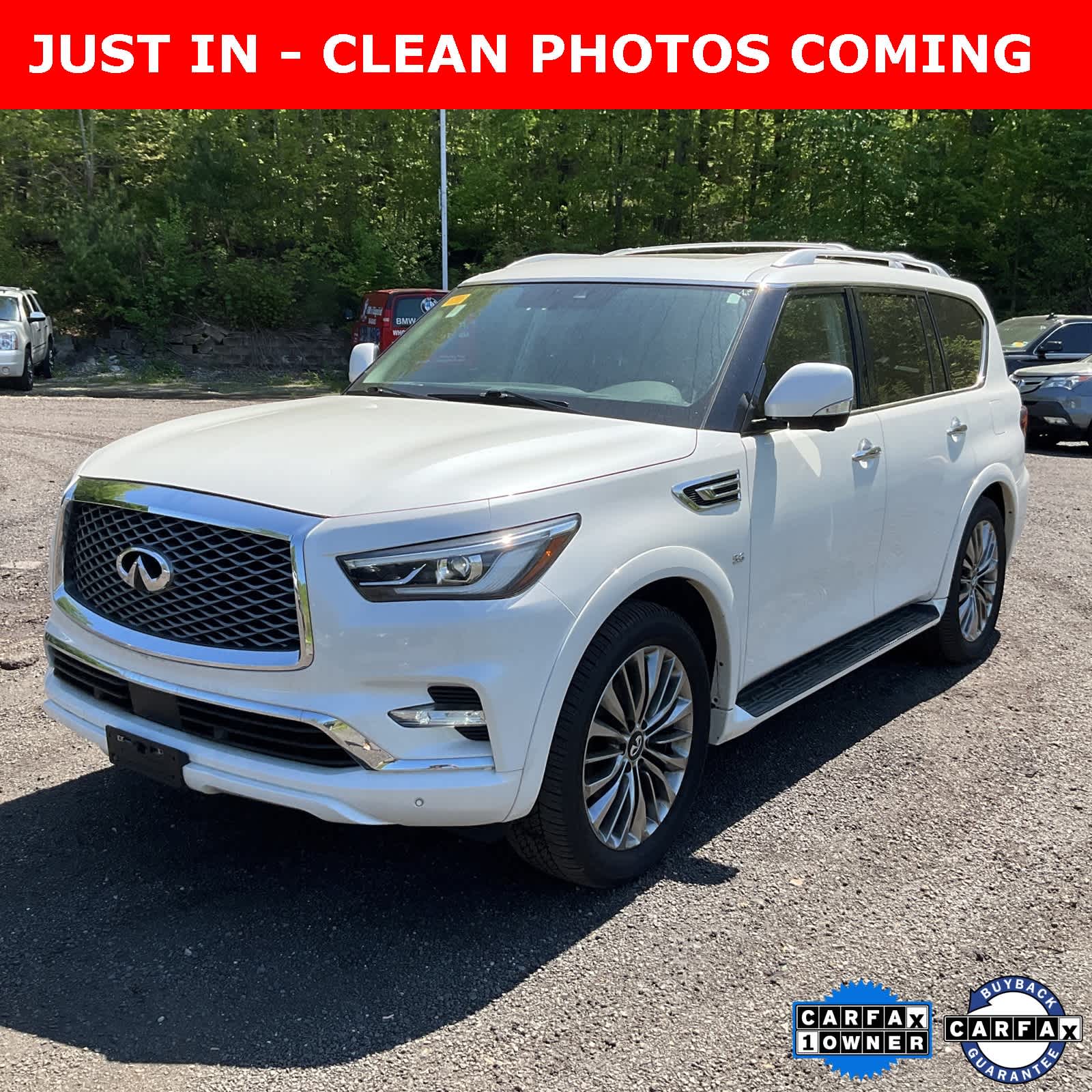 2019 INFINITI QX80 Luxe -
                  Chesapeake, VA