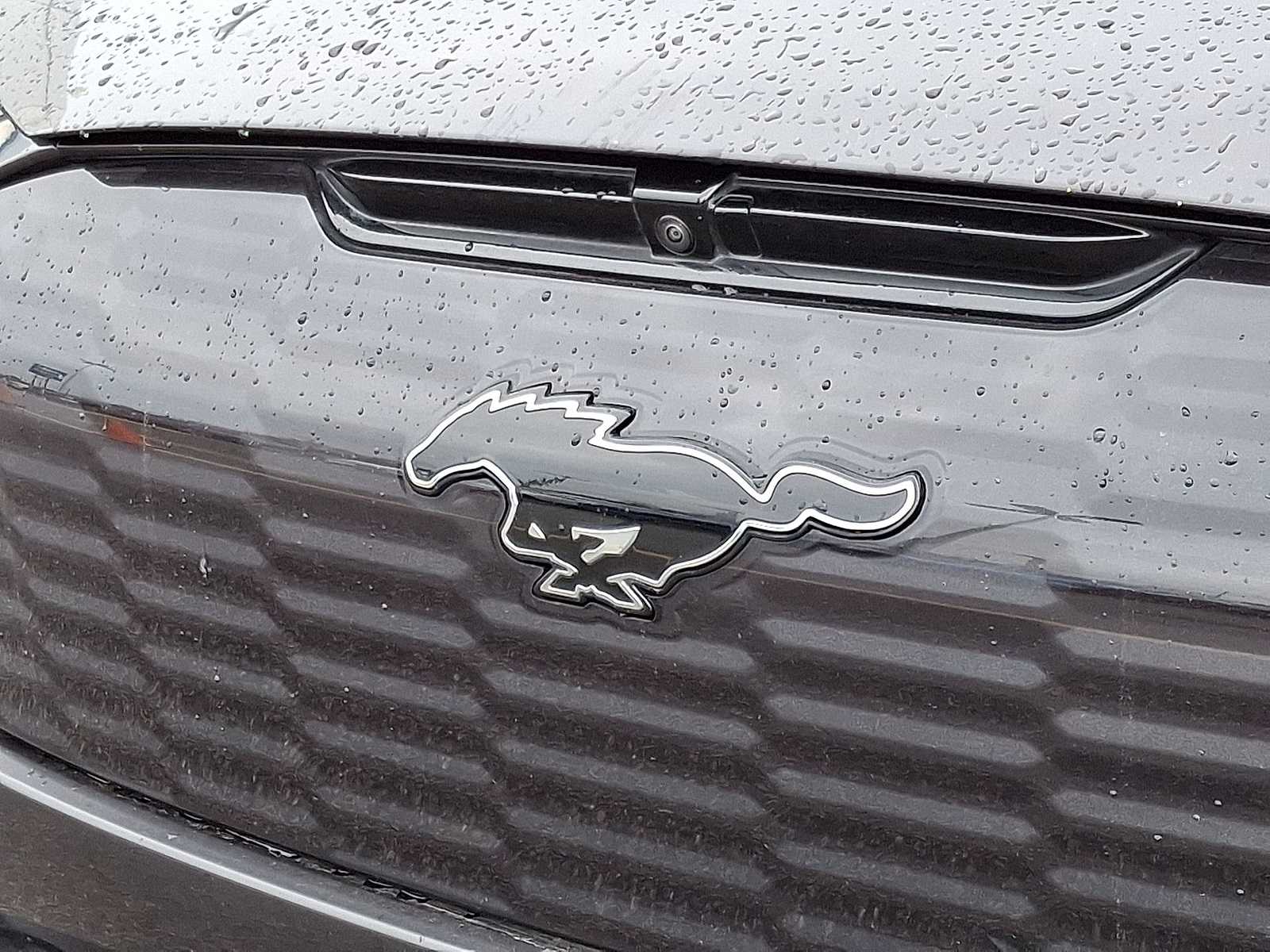 Thumbnail: 2022 Ford Mustang Mach-E - 33