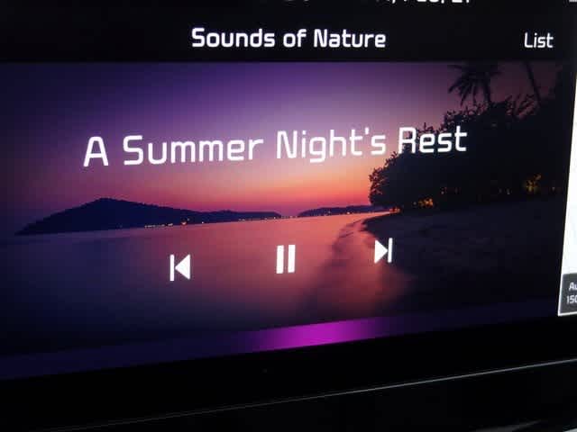 Thumbnail: 2023 Kia Sorento - 34