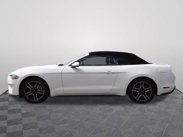 Thumbnail: 2023 Ford Mustang - 44