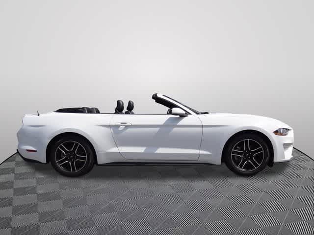 Thumbnail: 2023 Ford Mustang - 4
