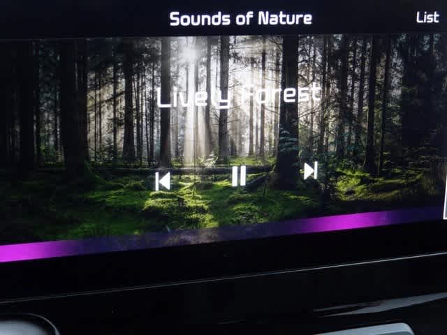 Thumbnail: 2023 Kia Sorento - 27