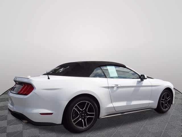 Thumbnail: 2023 Ford Mustang - 45