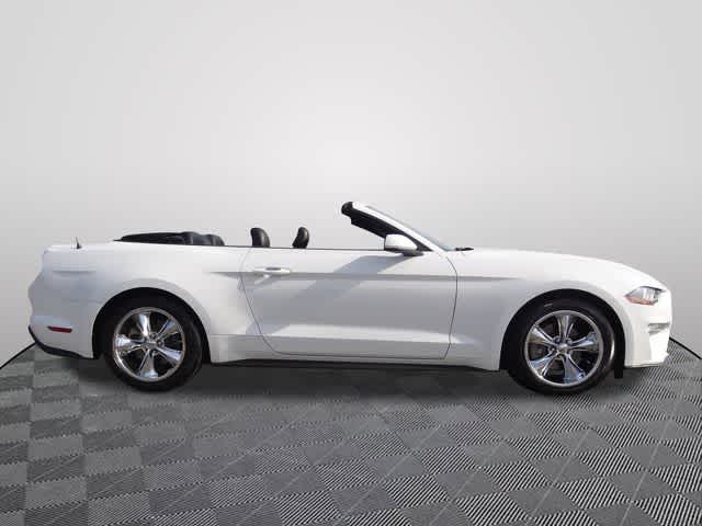 Thumbnail: 2022 Ford Mustang - 4