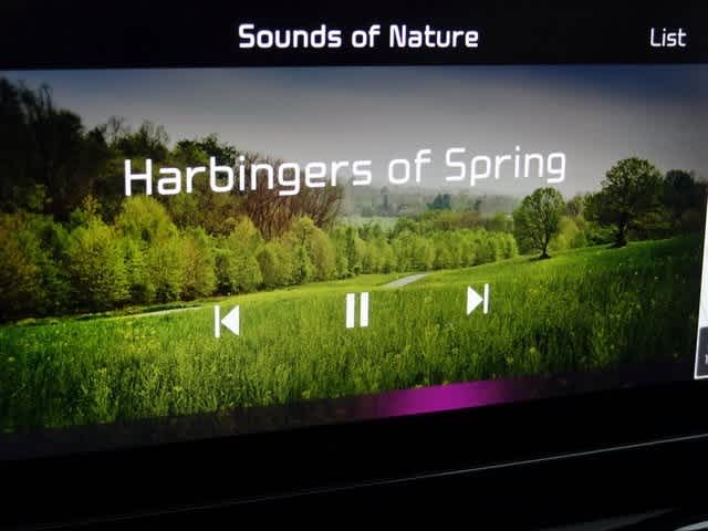 Thumbnail: 2023 Kia Sorento - 33