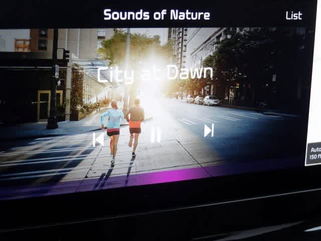 Thumbnail: 2023 Kia Sorento - 29