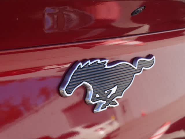 Thumbnail: 2021 Ford Mustang Mach-E - 17