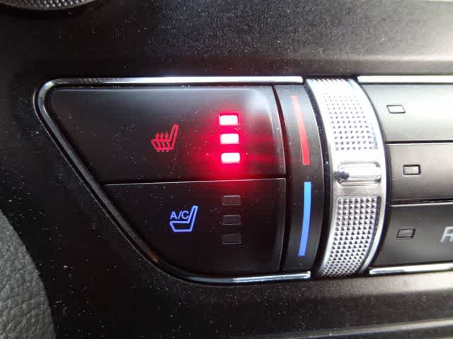 Thumbnail: 2022 Ford Mustang - 22