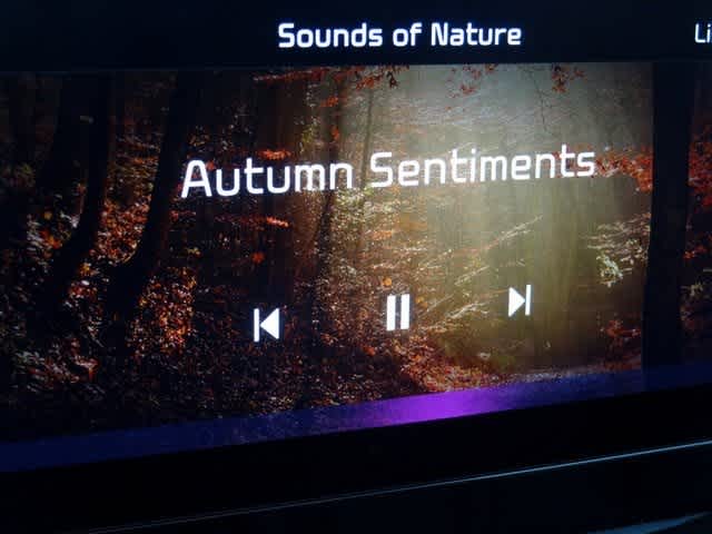 Thumbnail: 2023 Kia Sorento - 35