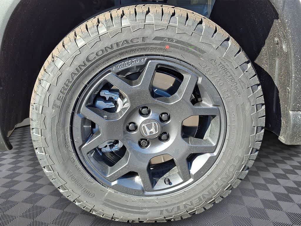 Thumbnail: 2026 Honda Pilot - 5