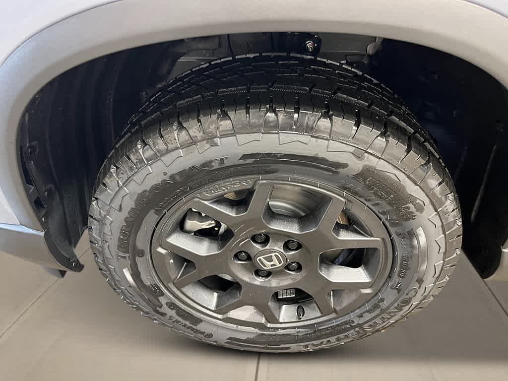 Thumbnail: 2026 Honda Pilot - 11