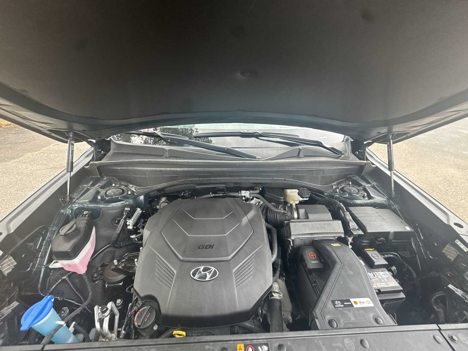 Thumbnail: 2024 Hyundai Palisade - 18