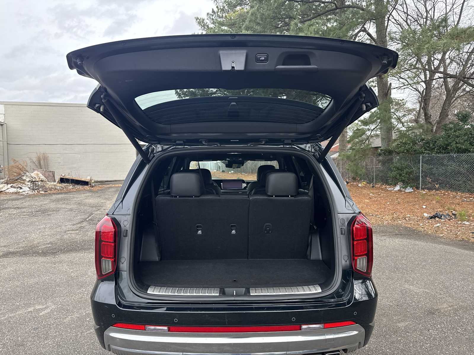 Thumbnail: 2024 Hyundai Palisade - 21