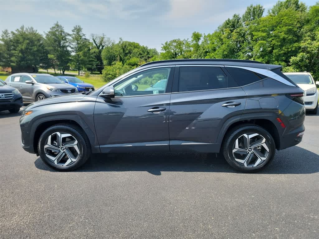 2024 Hyundai Tucson Limited 6