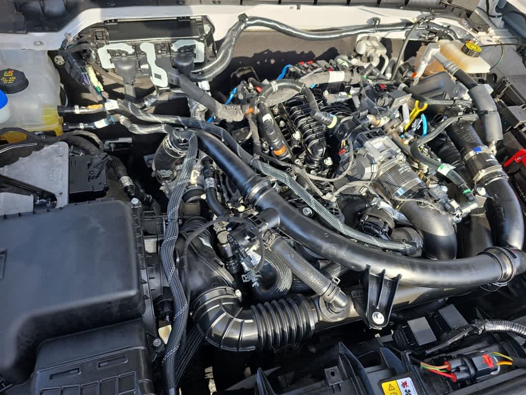 Thumbnail: 2023 Ford Bronco - 31