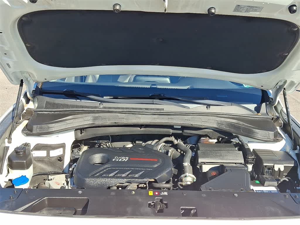 Thumbnail: 2019 Hyundai Santa Fe - 30