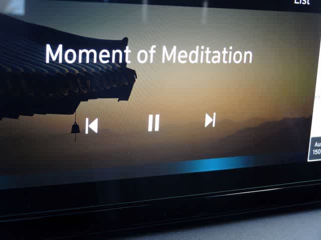 Thumbnail: 2023 Hyundai Palisade - 49