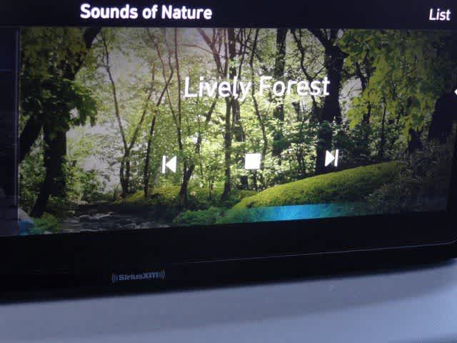 Thumbnail: 2023 Hyundai Santa Fe - 34