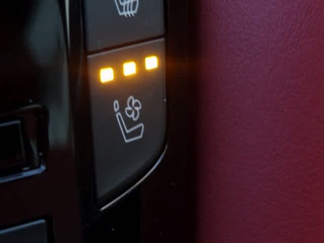 Thumbnail: 2025 INFINITI QX50 - 23