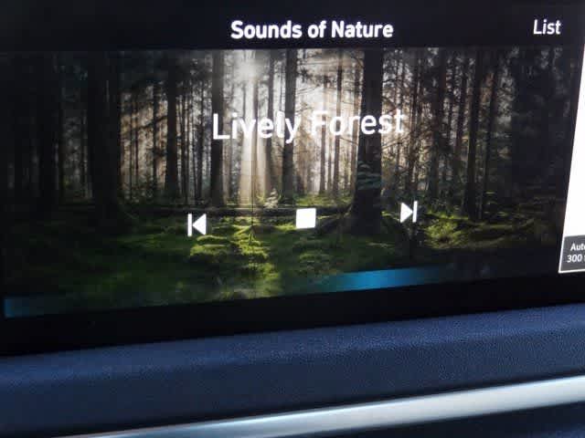 Thumbnail: 2023 Hyundai Sonata - 25