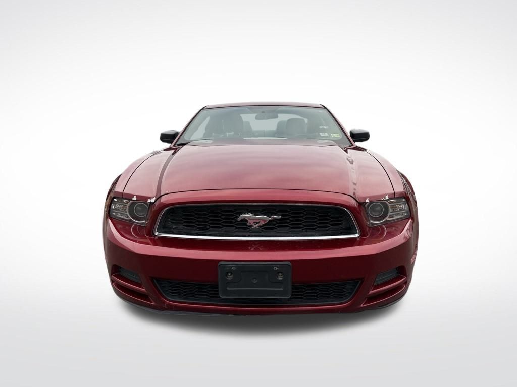 Thumbnail: 2014 Ford Mustang - 8