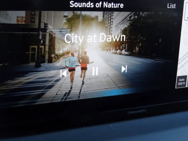 Thumbnail: 2023 Hyundai Santa Fe - 32