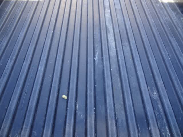 Thumbnail: 2024 Toyota Tacoma - 9