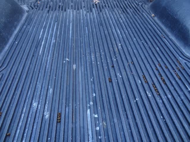 Thumbnail: 2022 RAM 1500 Classic - 8