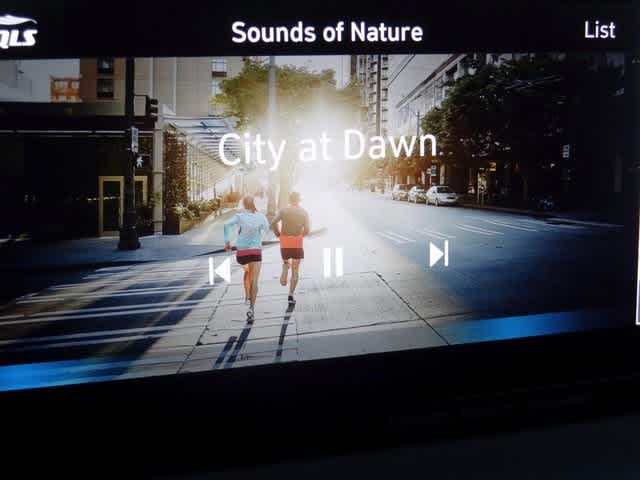 Thumbnail: 2023 Hyundai Santa Fe - 34