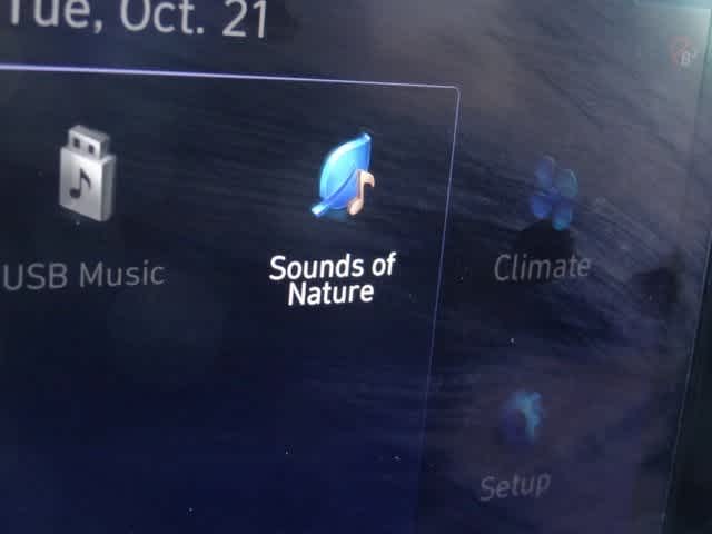 Thumbnail: 2023 Hyundai Santa Fe - 29