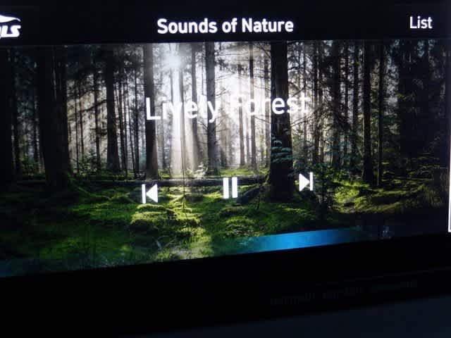 Thumbnail: 2023 Hyundai Santa Fe - 33