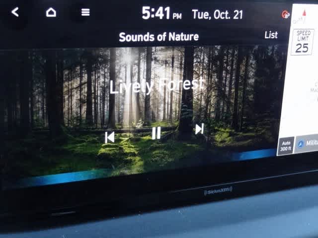 Thumbnail: 2023 Hyundai Santa Fe - 30