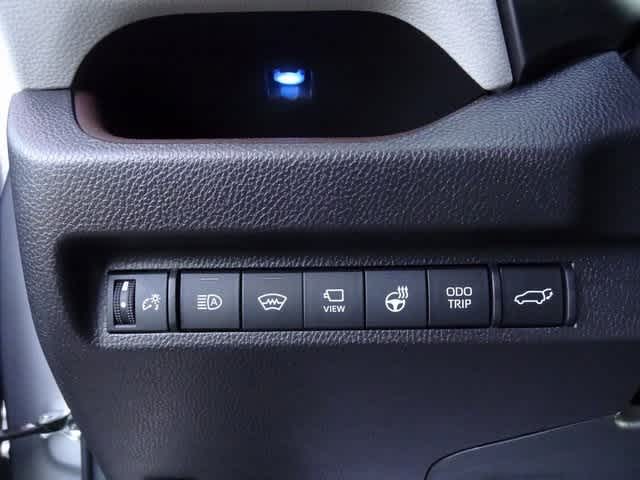 Thumbnail: 2025 Toyota RAV4 - 17