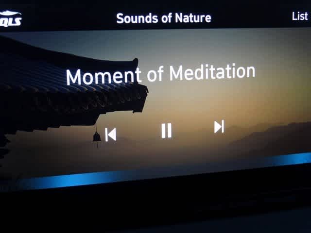 Thumbnail: 2023 Hyundai Santa Fe - 37