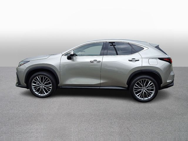 Thumbnail: 2023 Lexus NX - 7
