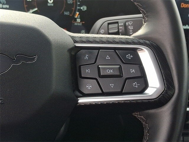 Thumbnail: 2025 Ford Mustang - 19