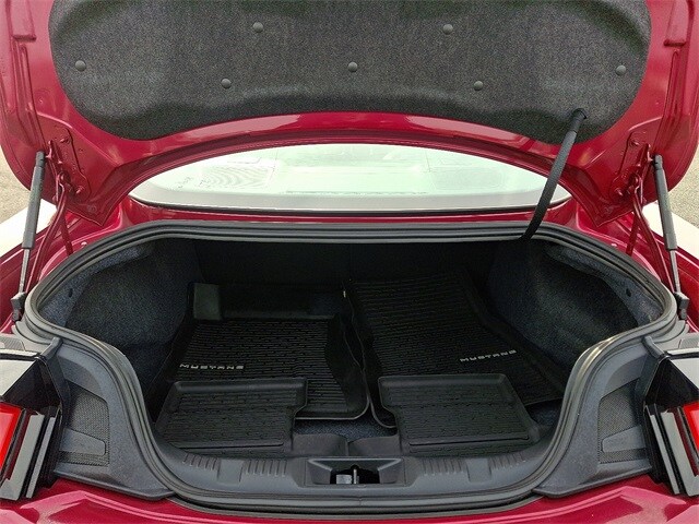 Thumbnail: 2025 Ford Mustang - 28