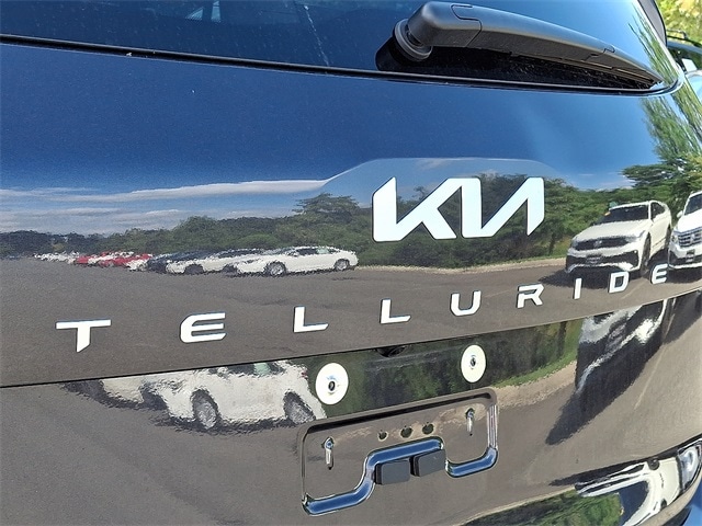 Thumbnail: 2025 Kia Telluride - 33