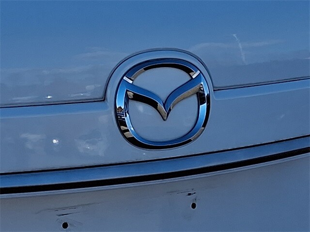 Thumbnail: 2014 Mazda CX-9 - 29