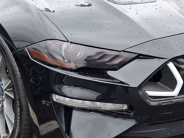 Thumbnail: 2022 Ford Mustang - 4