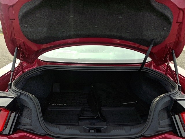 Thumbnail: 2025 Ford Mustang - 26