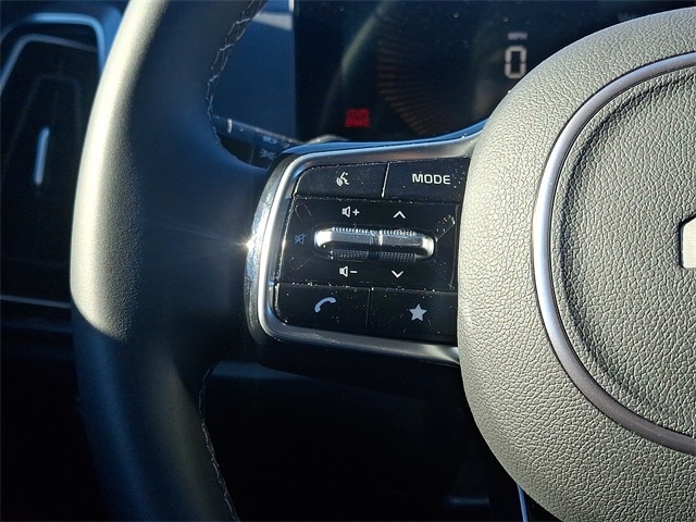 Thumbnail: 2025 Kia Sorento - 21