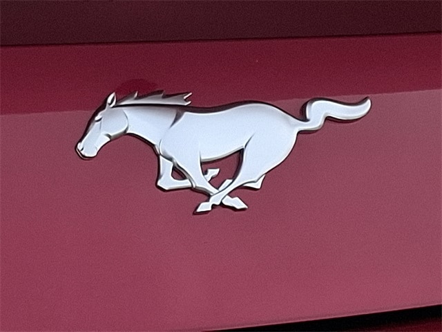 Thumbnail: 2025 Ford Mustang - 29