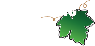 Grapevine Ford